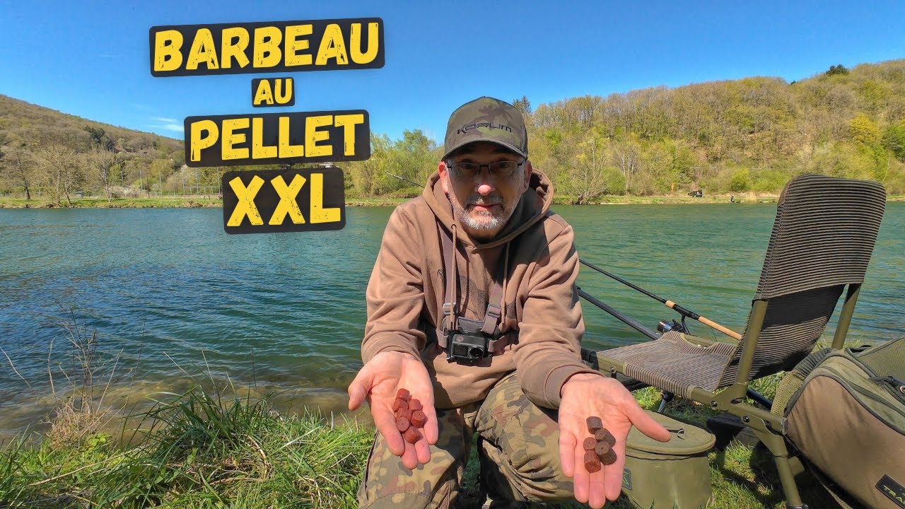Pellets XXL = plus gros poissons : mythe ou réalité ?