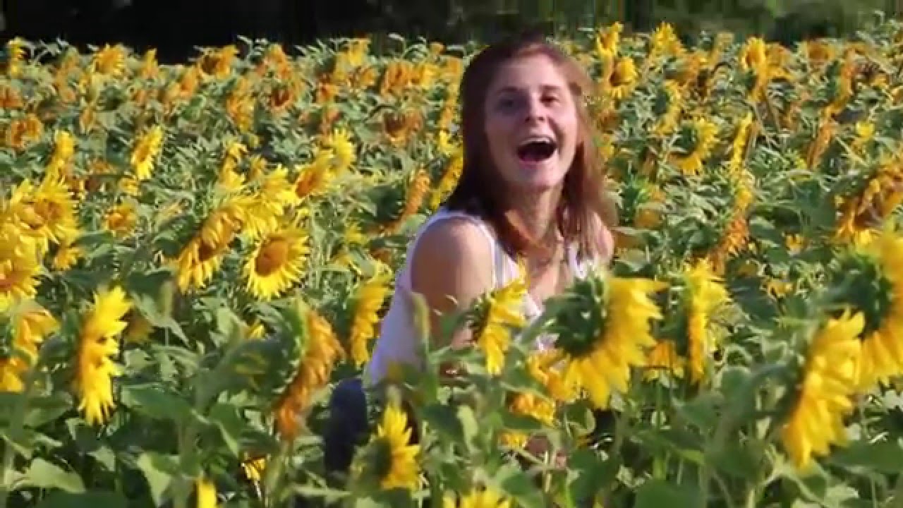 2015 adventure video