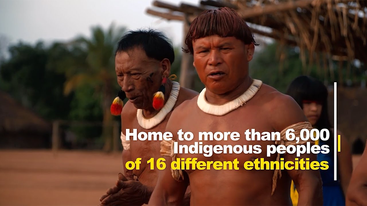 Solar power lighting villages in the Amazon rainforest