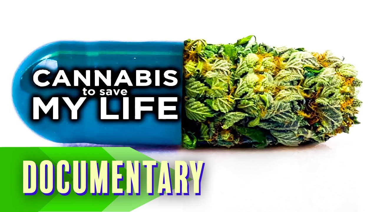 Cannabis to Save My Life (2016) | Full Documentary | Patricia Crone | Jon Gettman | Allyn Howlett