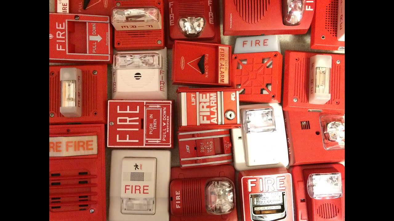 Full Collection as of 3/13/16 | 1 Year Anniversary Special!