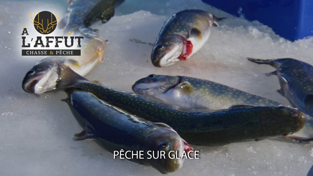 À l’affût: Pêche sur glace