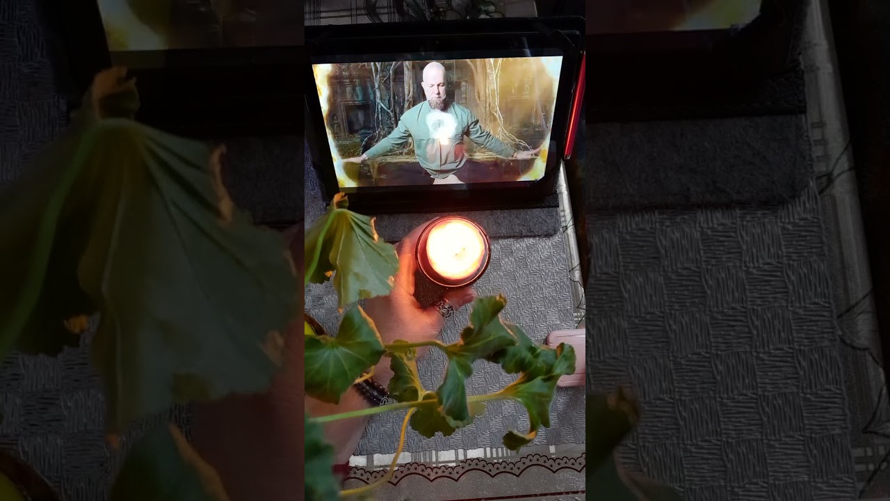 СЛАВЯНСКИЕ УКРОШЕНИЯ.Значение их.