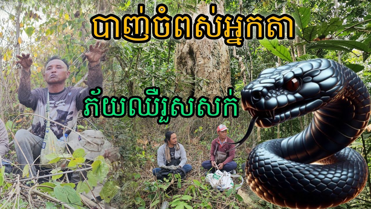 បាញ់ចំពស់អ្នកតាភ័យឈឺរួសសក់