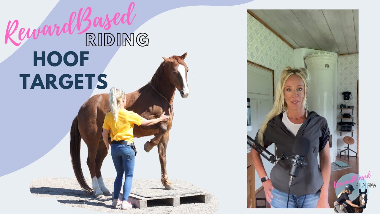 How To Target Train Your Horse From Parking To Rein Aids With Hoof Targets.