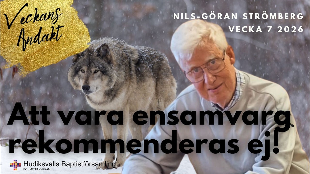 Att vara ensamvarg rekommenderas ej! | Nils-Göran | Webbandakt 11 februari 2026