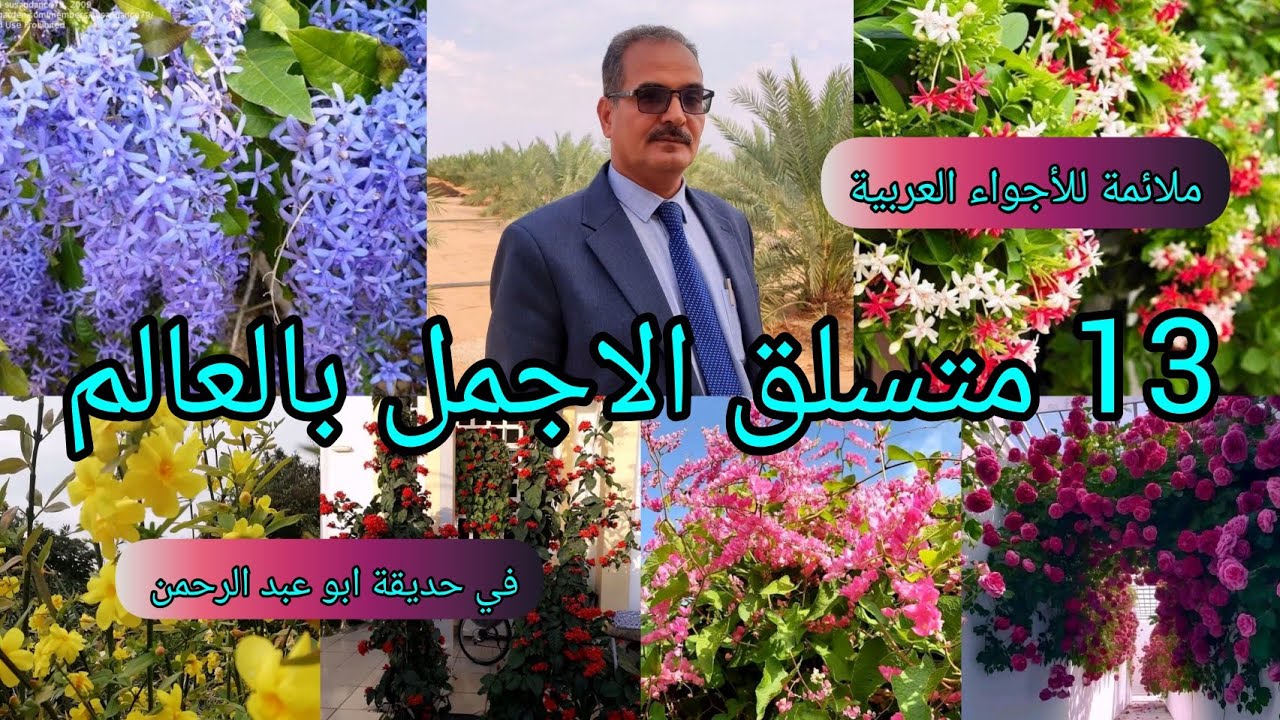 13 نبات متسلق في حديقة ابو عبد الرحمن ناجح بالعراق والدول العربية ننصح بزراعتها