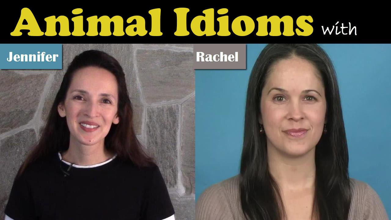 Animal Idioms!  Conversational American English with JenniferESL