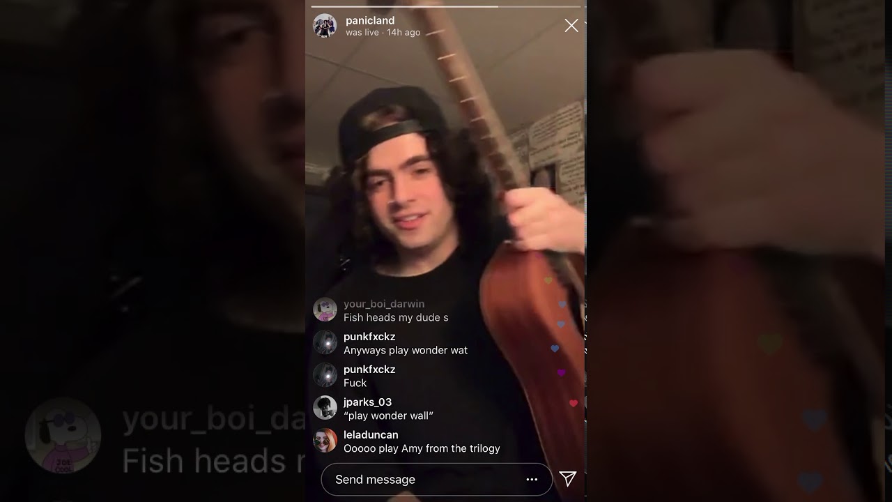 Panicland Instagram Live Stream Part 2 (04/28/20)