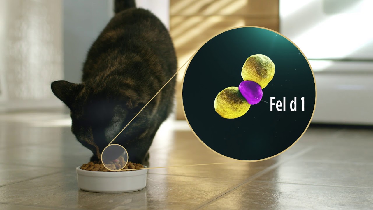 Purina Pro Plan Live Clear- como funciona