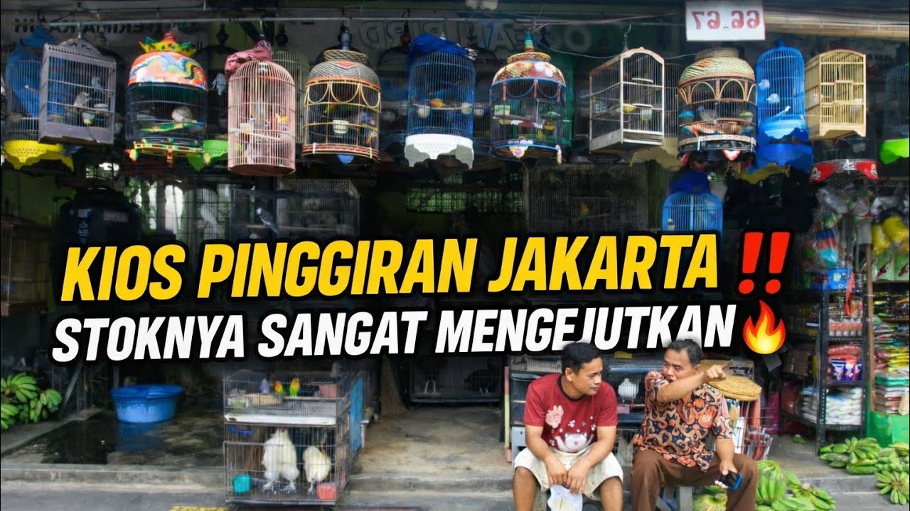 COBA SURVEY KIOS PINGGIRAN KOTA JAKARTA ‼️ STOKNYA MENGEJUTKAN!