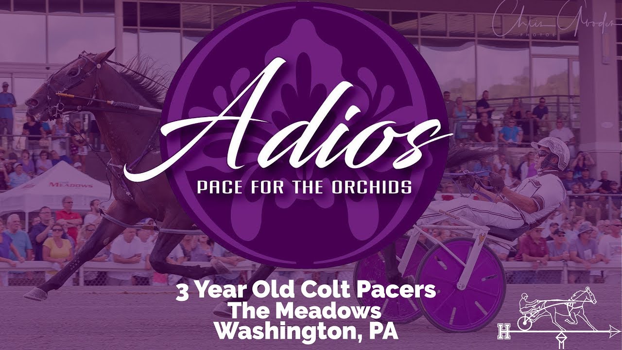 2019 Adios Final - Southwind Ozzi