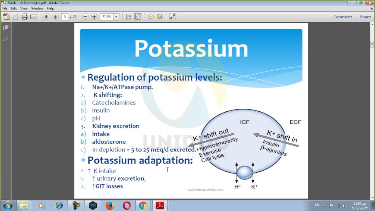 lec 1 dr sakr (clinical nutrition