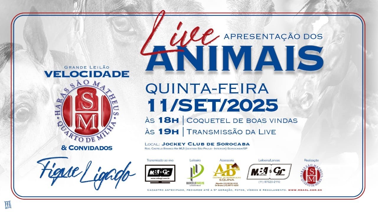 Apresentação dos Animais-Leilão Velocidade Haras São Matheus 2025 & Convidados