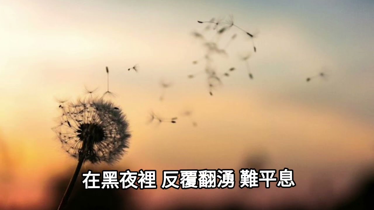 詞是我寫系列 - 遙望