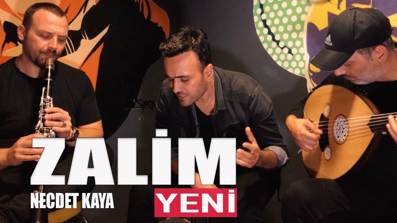 Necdet Kaya - Zalim (Anlamıyorsun g&ouml;n&uuml;l derdinden) Akustik