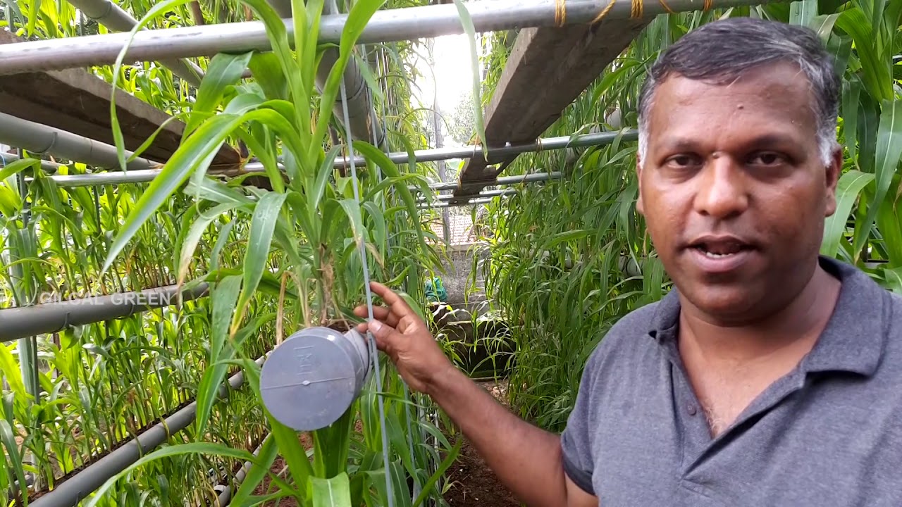 Vertical farming Gilgal green |Pr Jacob Joseph | malayalam | kerala