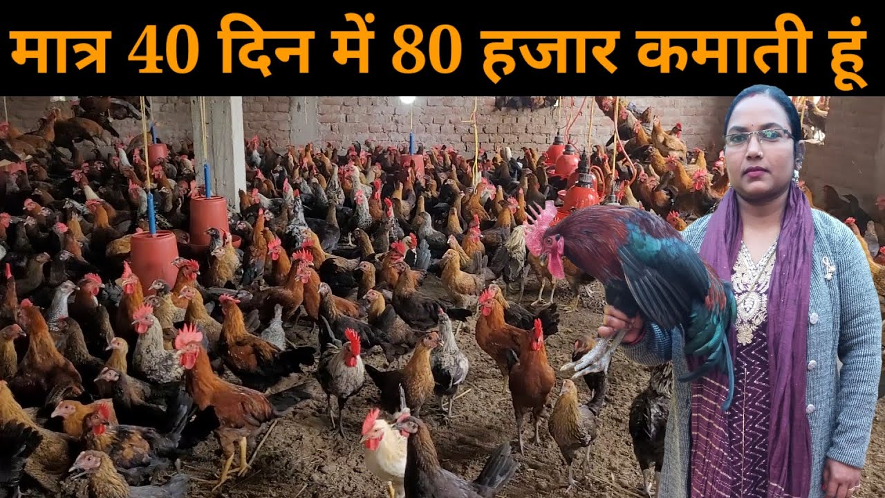 यह महिला मात्र 40 दिन में 1 लाख कमाती है देशी मुर्गी पालन से  Deshi Murgi Palan #deshimurgipalan