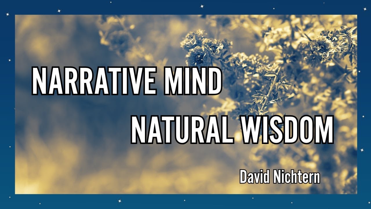 Narrative Mind/Natural Wisdom - David Nichtern