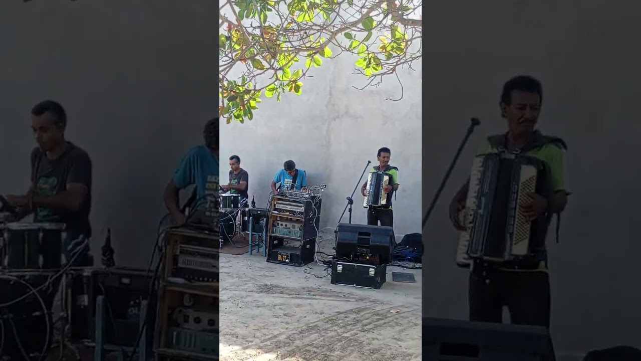 Gilvan do Acordeon ( Ensaio )