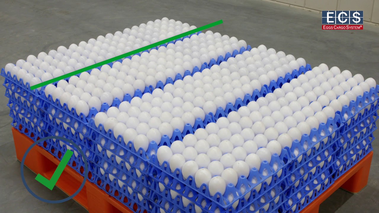 Manually packing our EggsCargoSystem®