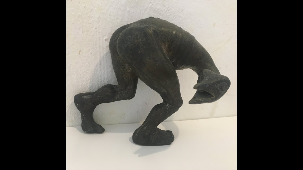 ANDRAPODON01