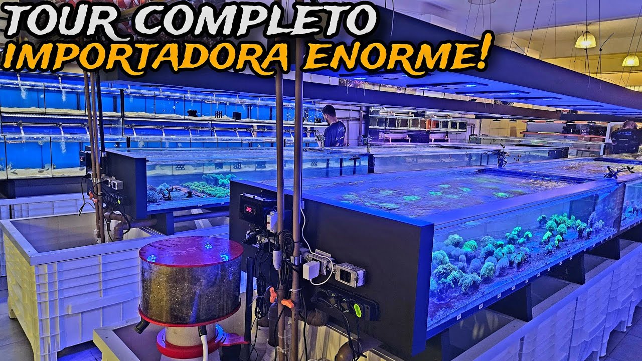 TOUR COMPLETO NUMA IMPORTADORA DE PEIXES, CORAIS E PRODUTOS DE AQUARISMO!
