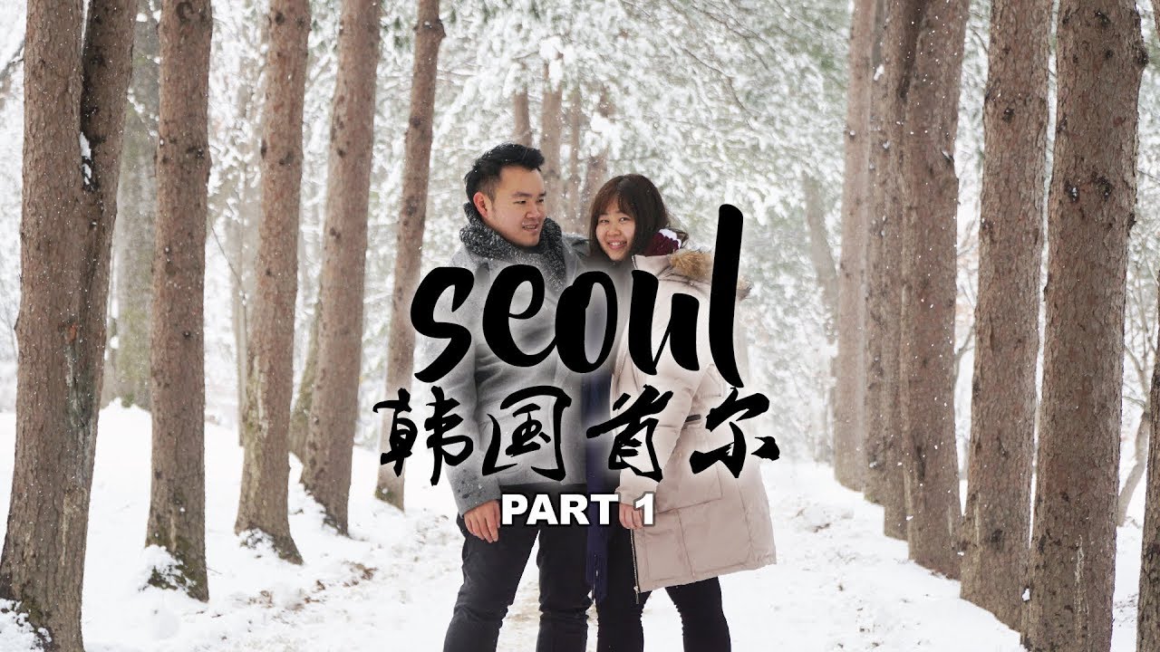 【Vlog】韓國首爾之旅 Seoul (Part 1) - 首爾市場找美食，南大門。明洞夜市。廣藏市場。冬季納米島。小法國村。吃韓國炸雞！