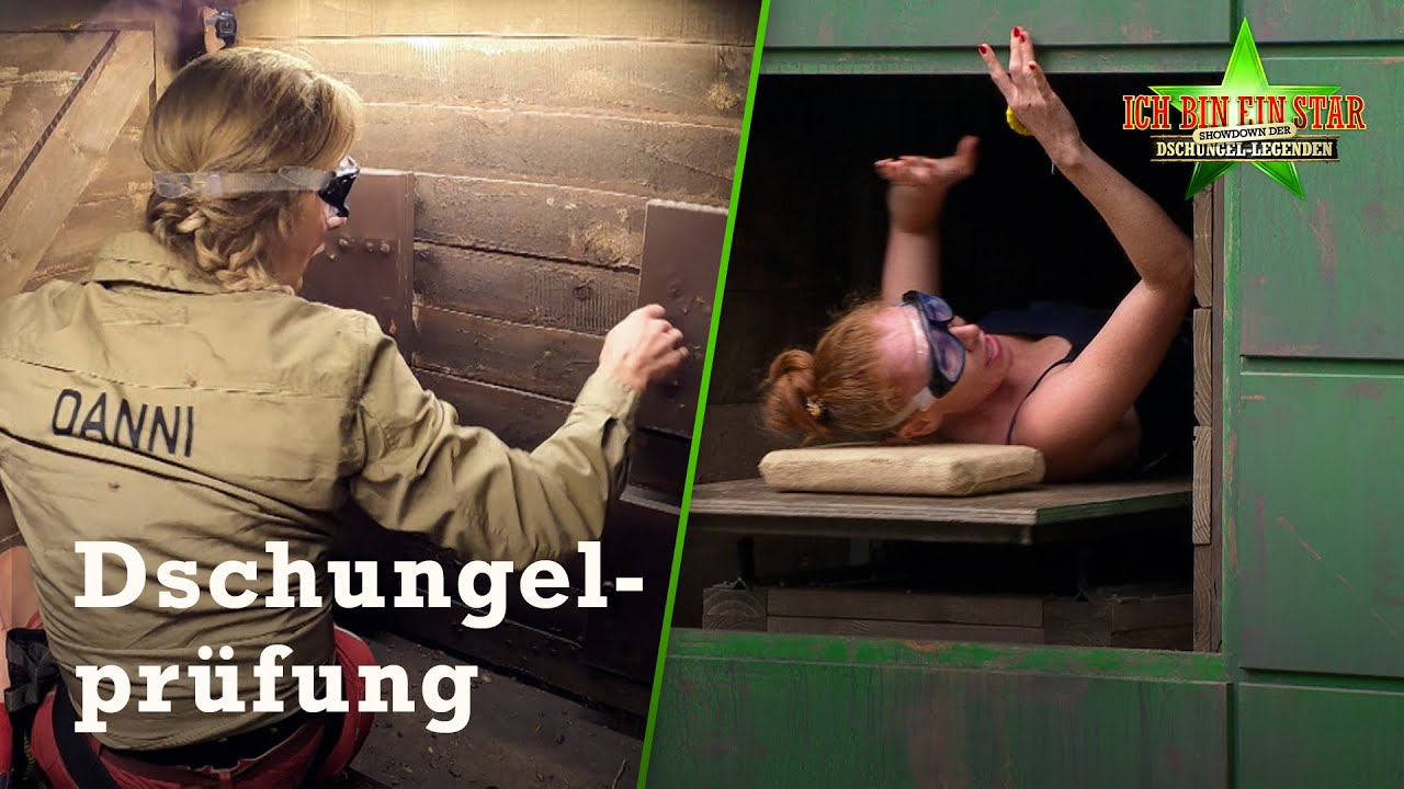 RTL KOMPOSTSTATION: Danni und Georgina in der Prüfung 📦 | Legenden-Dschungelcamp