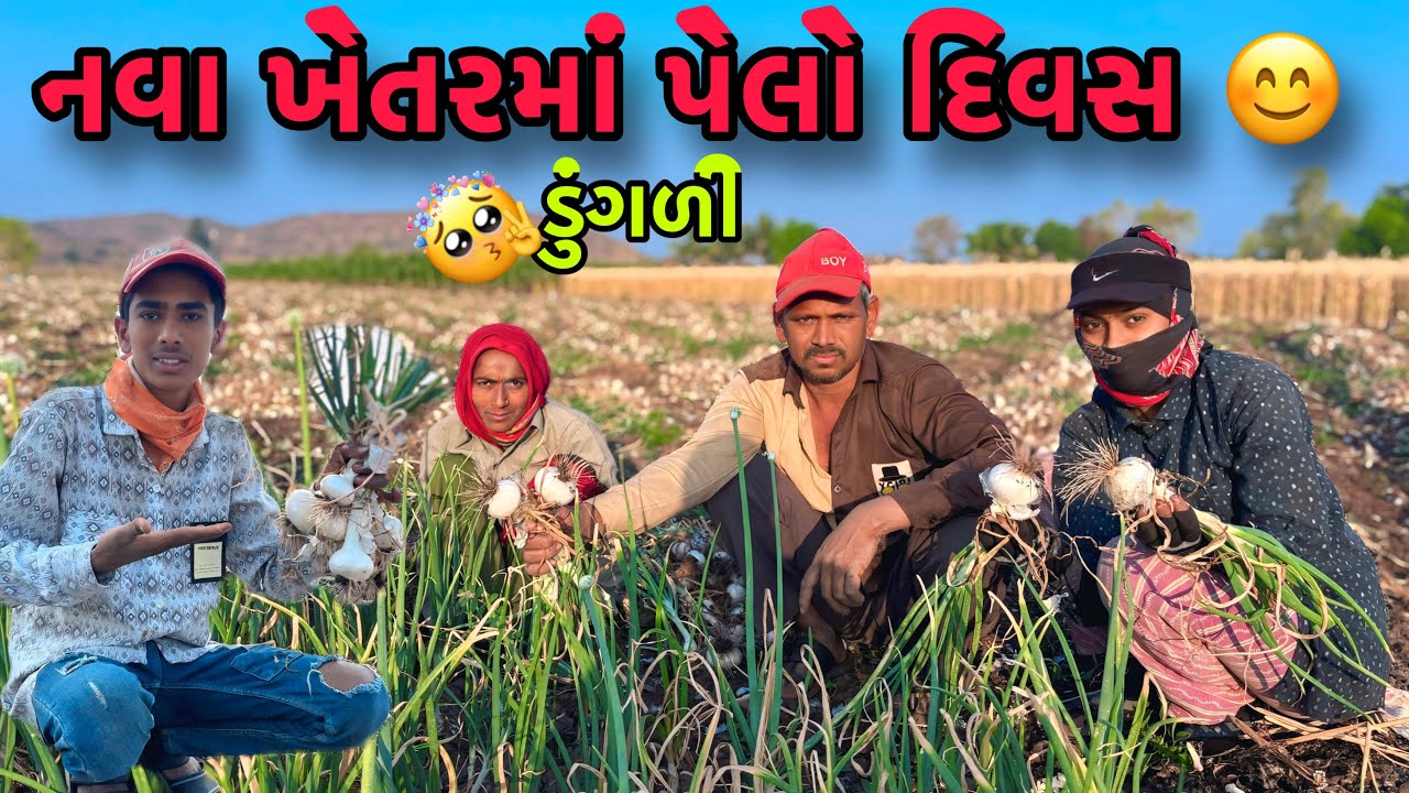 નવા ખેતરમાં પેલો દિવસ 😊 | Nva Khetrma pelo divas | Village life | MrRohitlifestylevlogs 