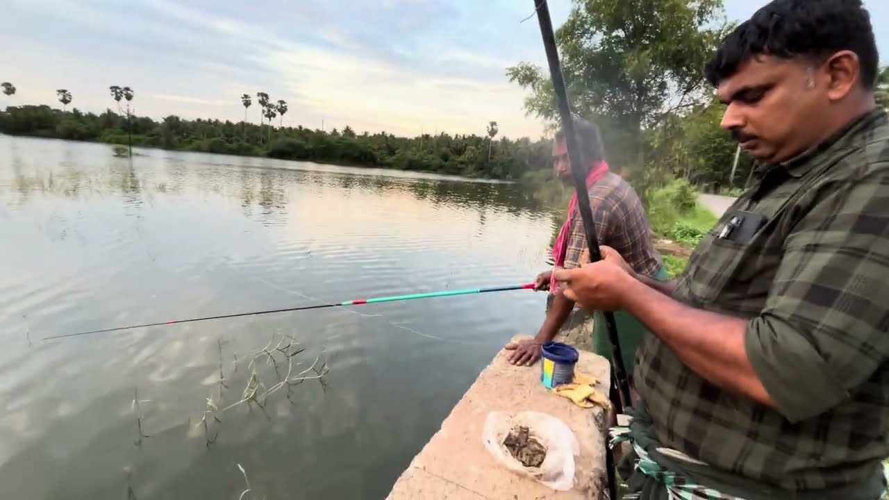 പൊള്ളാച്ചി ഫിഷ്🎣🐟 #MKDfishinghunting #fishing #fish #choondal #payal #Nadanfishing