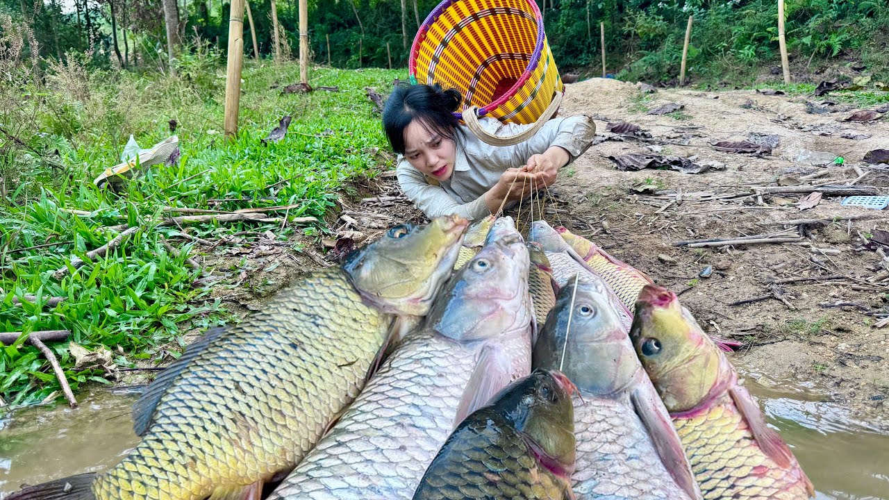 Traditional Fishing Skills - Girl Catches Giant Fish With Bamboo Rod In Green Lake