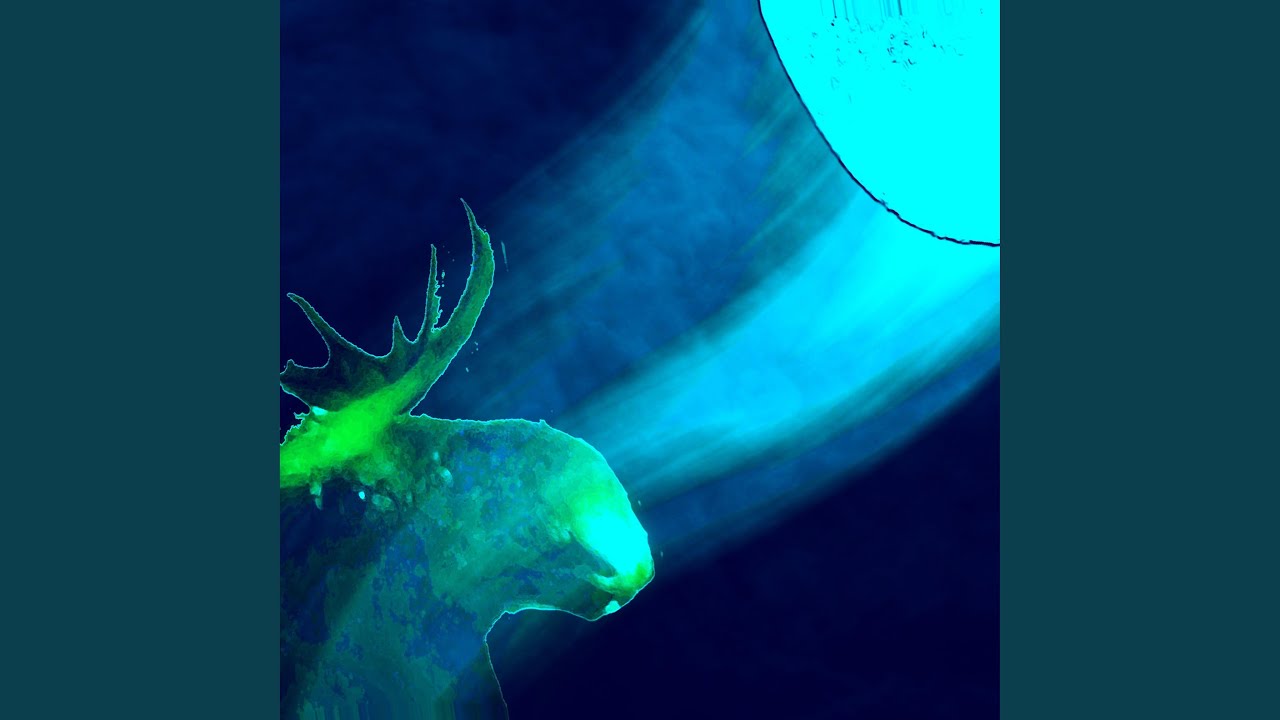 Moose by the highway