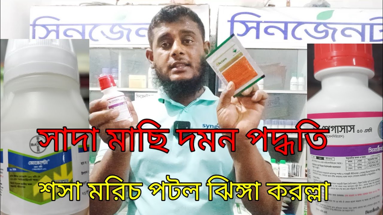 সাদা মাছি দমন পদ্ধতি। করলা, শসা, মরিচ, ঝিঙ্গা, পটল, সিনজেনটা কৃষি টিভি