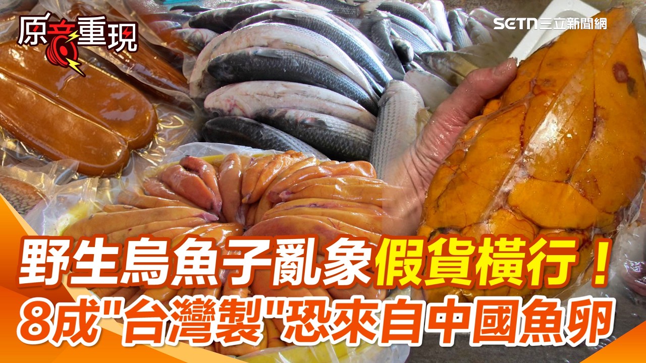 【#原音重現】你吃的烏魚子是真的嗎？暖化烏魚不來假貨橫行…8成「台灣製」恐來自中國魚卵！創15億黑心商機 數據揭台灣烏魚子產業黑洞 專家獻四大對策｜三立新聞網 SETN.com