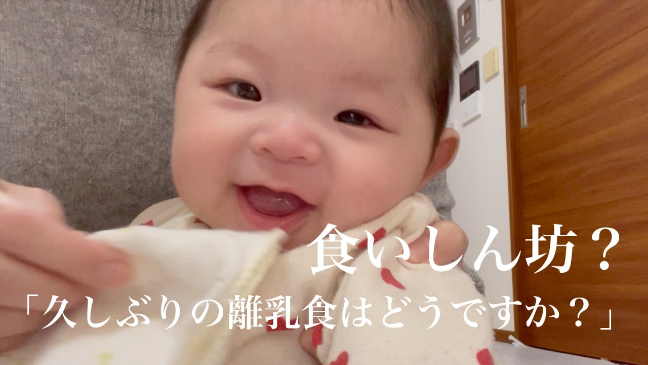 【食いしん坊？】久し振りの離乳食のお味はどうですか？
