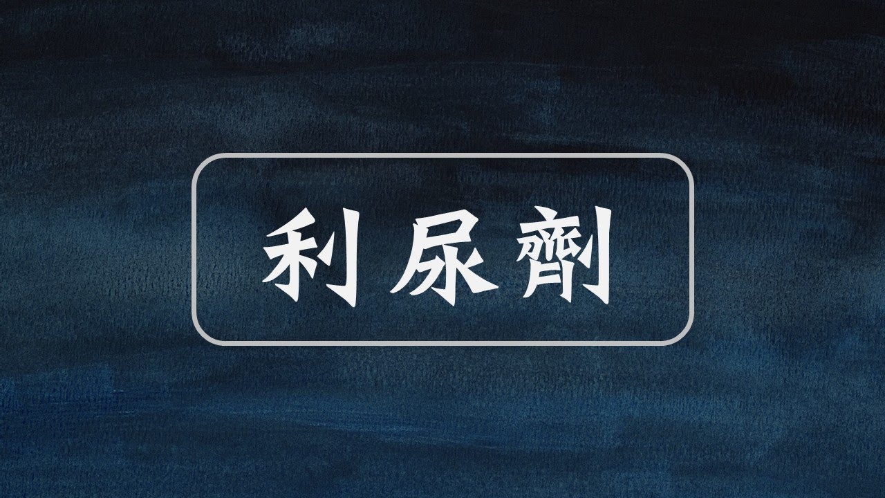 2025/2026子翔藥理：利尿劑