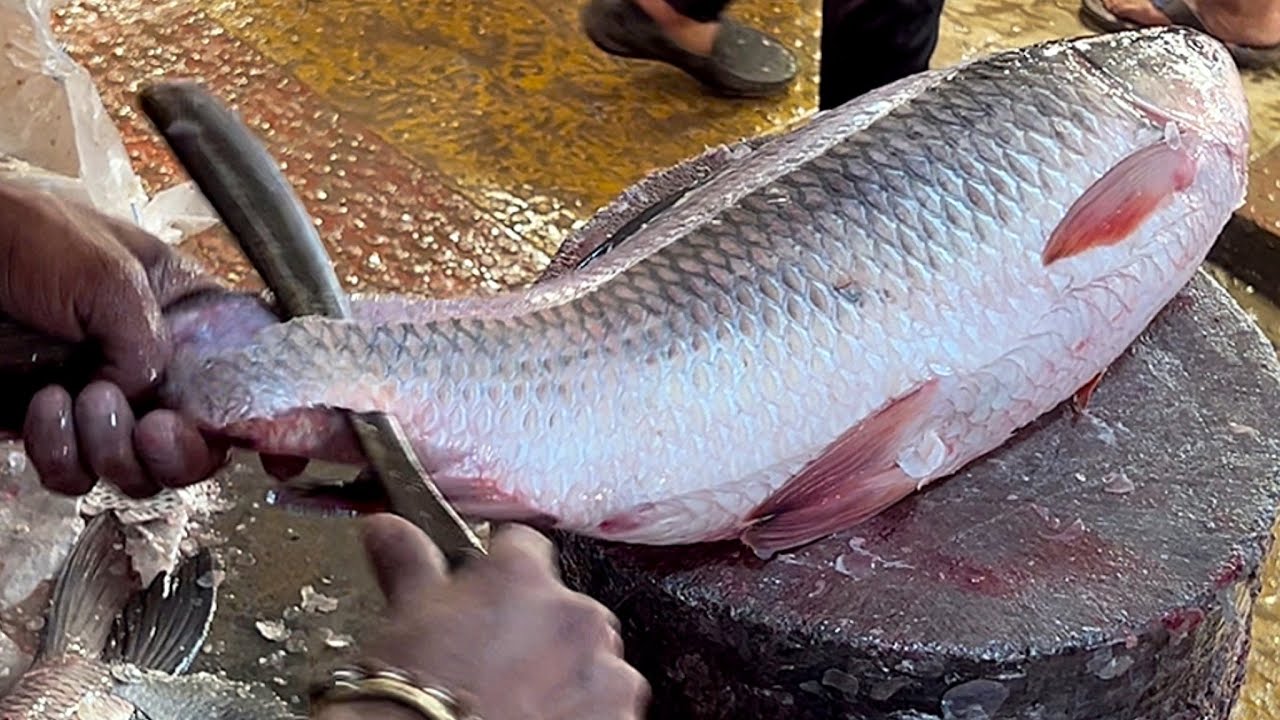 Amazing Cutting Skills | Big Rohu Fish Cleaning & Chopping By Expert Fish Cutter