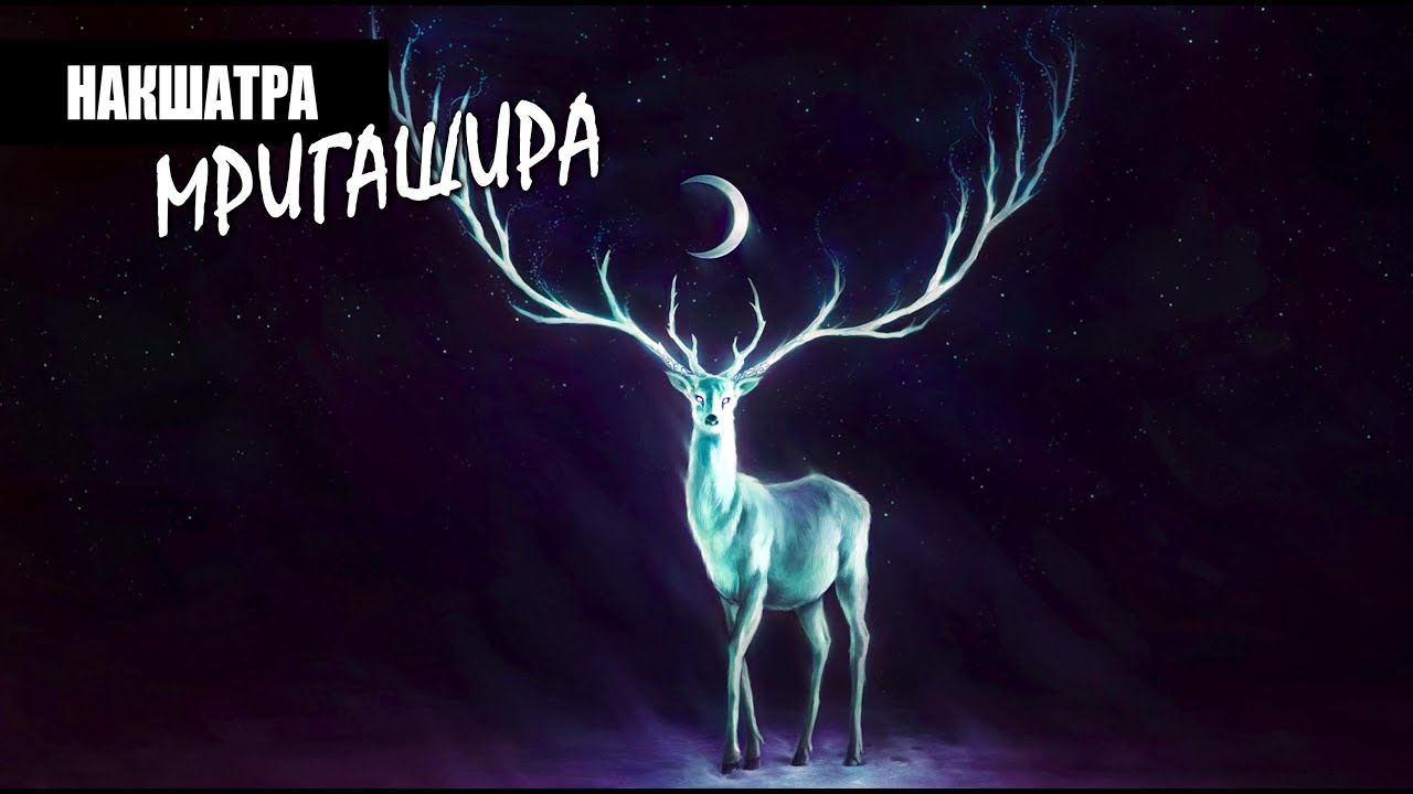 Накшатра Мригашира