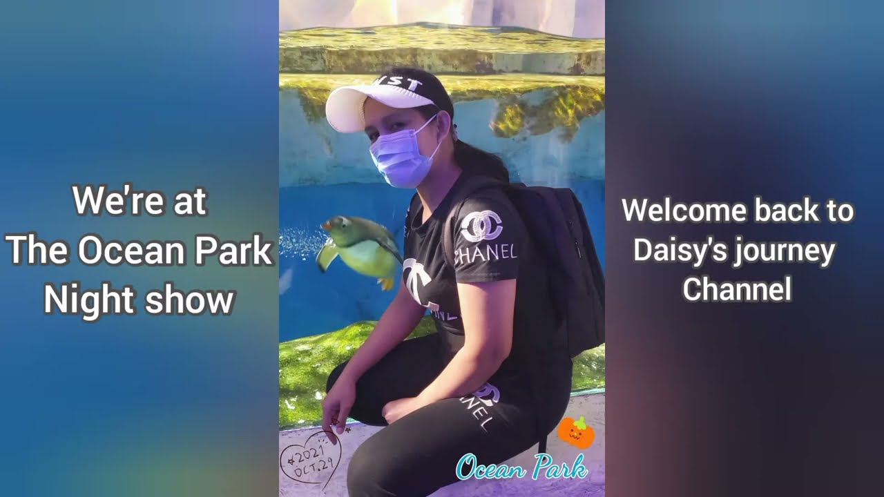 At Ocean Park night show
