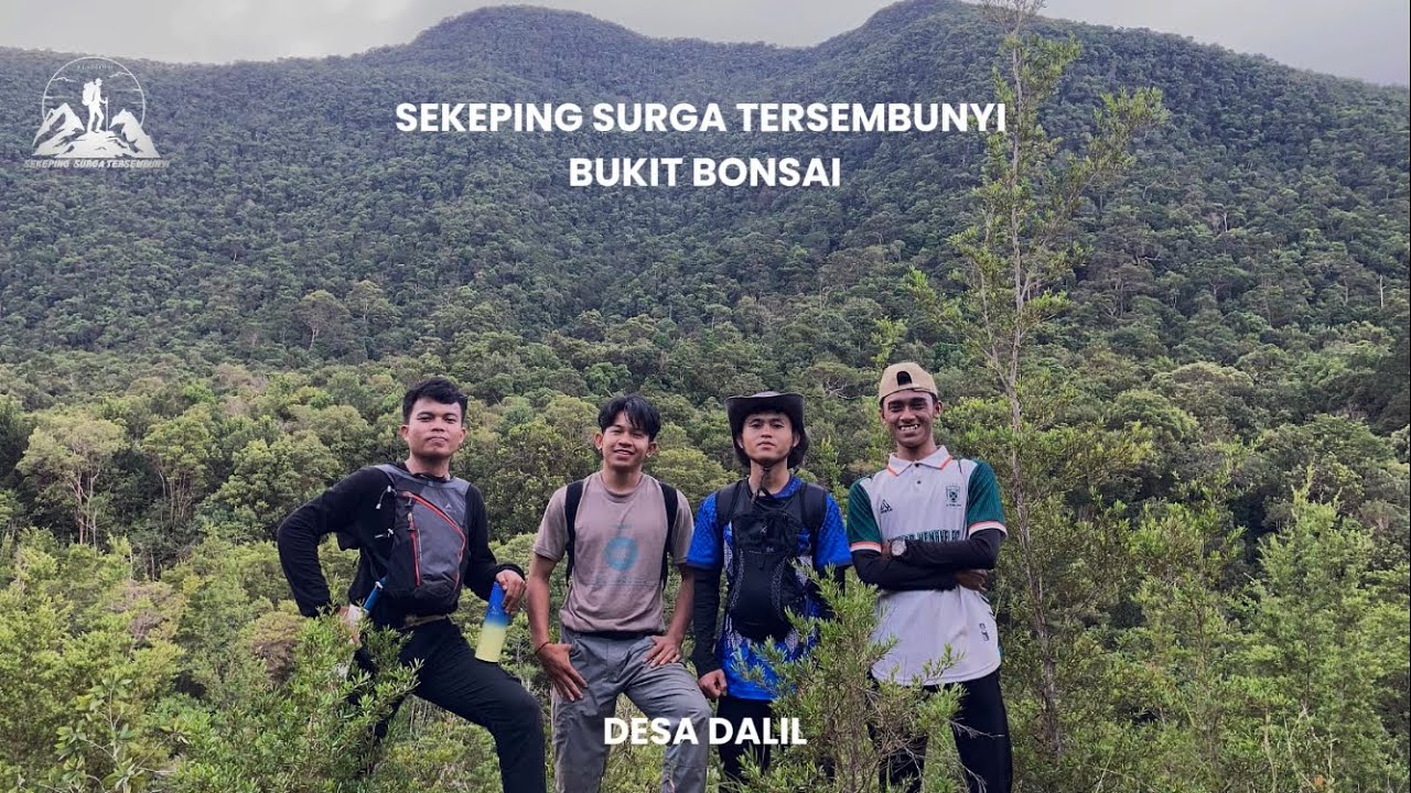 BUKIT BONSAI - Sekeping Surga Tersembunyi Bangka (desa dalil)