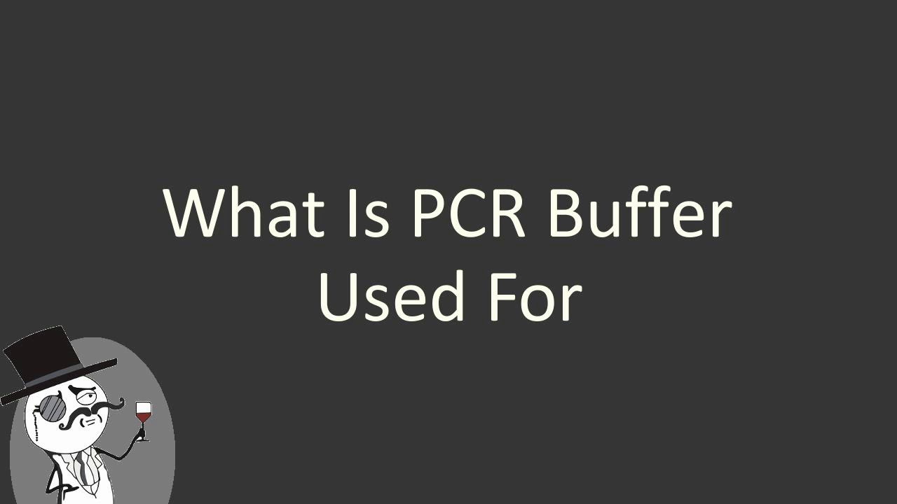 What is PCR buffer used for