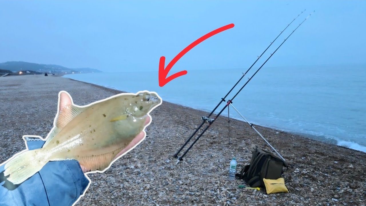 The Bite Was Alive | Hythe Beach | Mixed Species