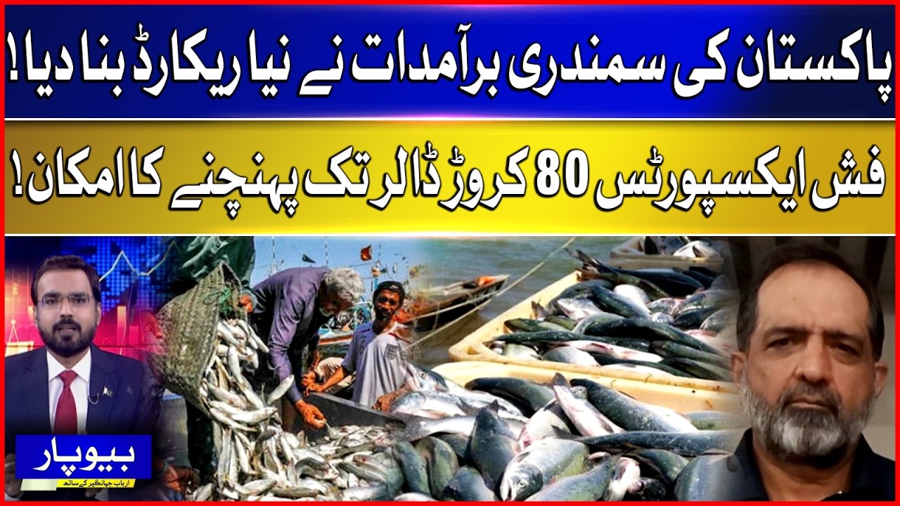 Pakistan&rsquo;s Seafood Exports Hit New Record | Fish Exports May Reach $800 Million