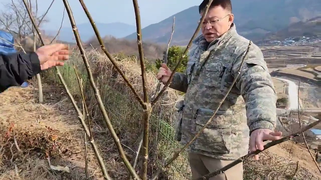20231230 박피호두 온185, 2년차 모범수형 제시