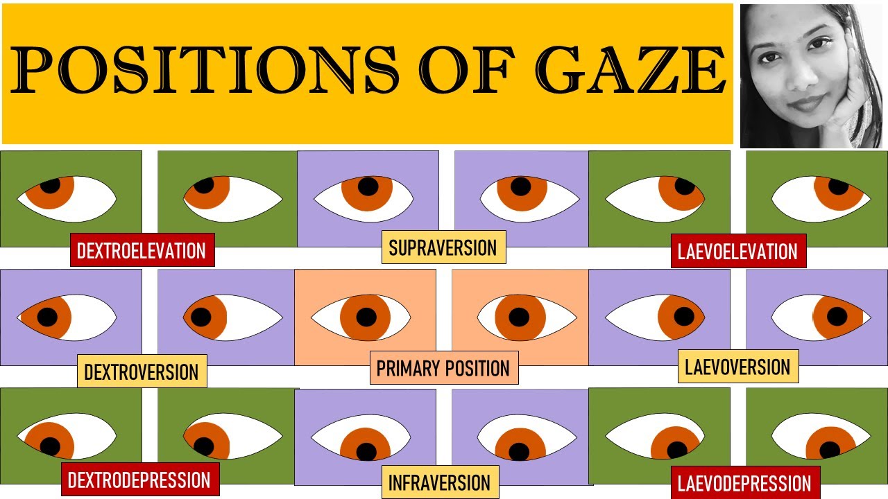 Diagnostic & Cardinal Positions of Gaze | Squint Simplified For Medical Students
