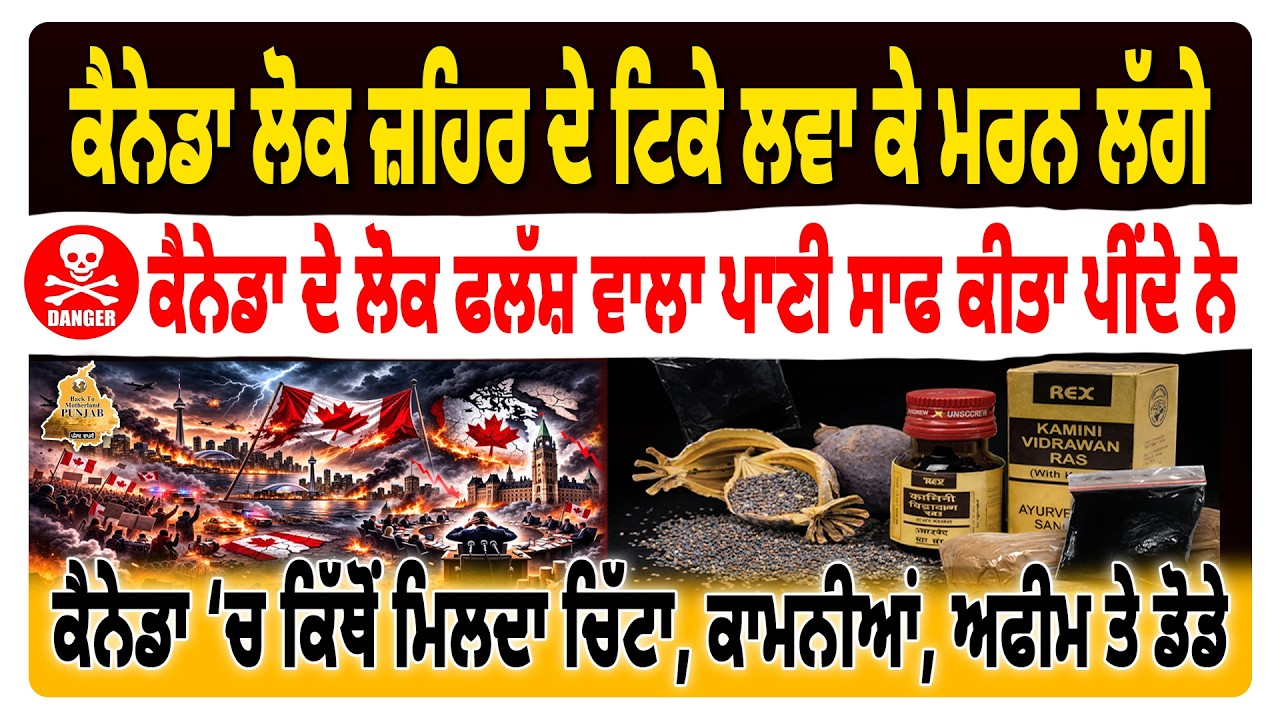 Why Are People Leaving Canada? | ਕੈਨੇਡਾ ਛੱਡ ਕੇ ਜਾ ਰਹੇ ਲੋਕਾਂ ਦਾ ਕੈਨੇਡਾ ਬਾਰੇ ਕੀ ਕਹਿਣਾ ਹੈ ? #canada