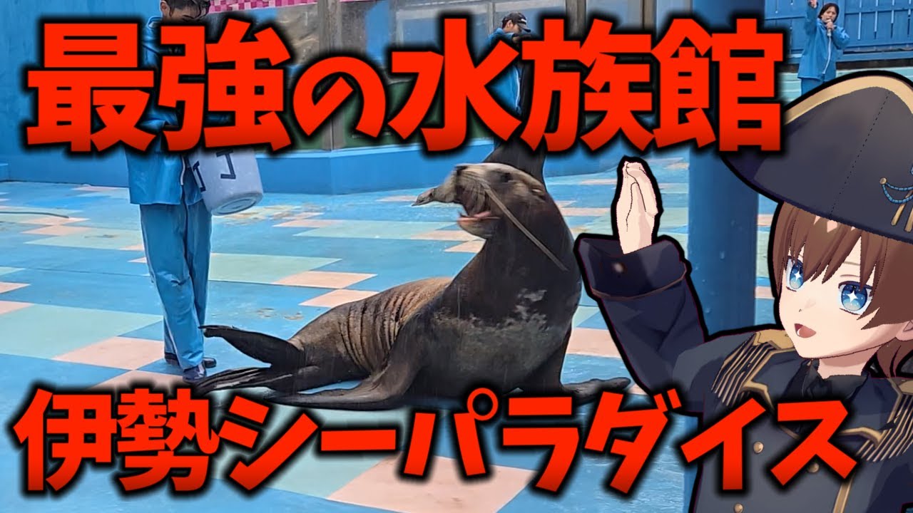 イルカとキャッチボール！チンアナゴに餌やり！伊勢シーパラダイスが楽しすぎた県【三重旅行】#vlog