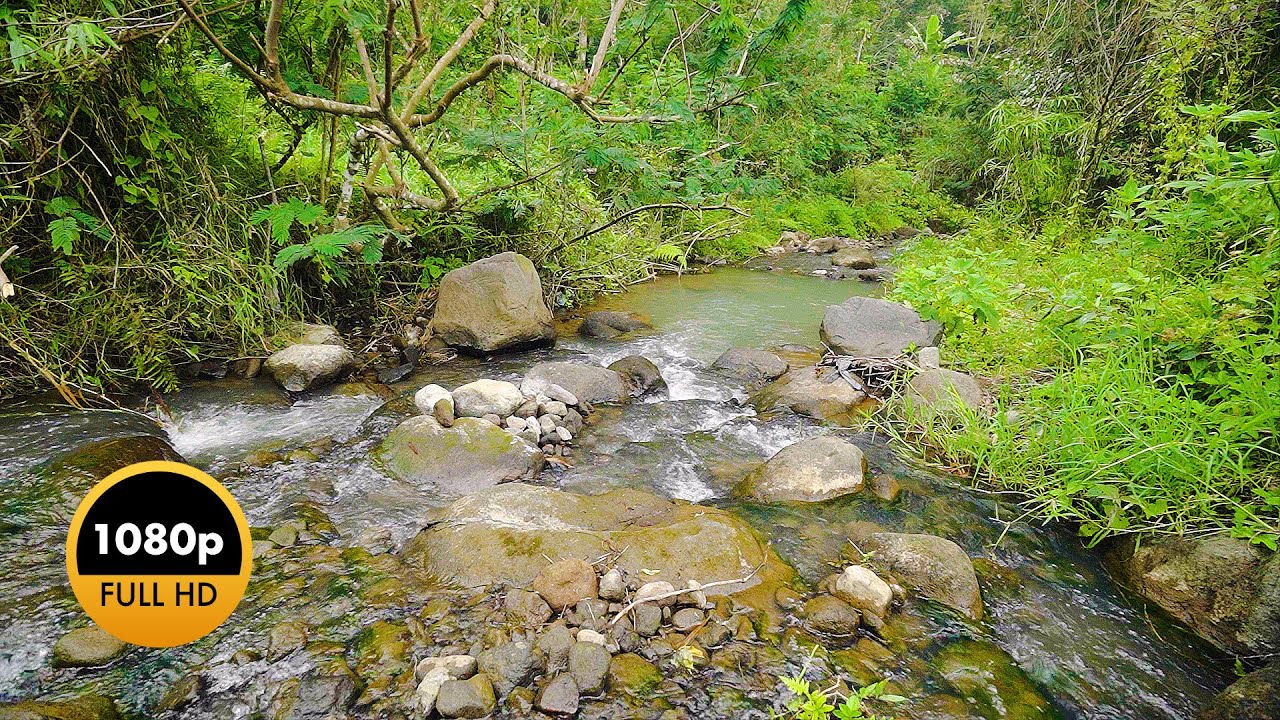 Find Your Calm with Soothing River Sounds for Sleep, Meditation, Yoga, Study, and Spa Relaxation