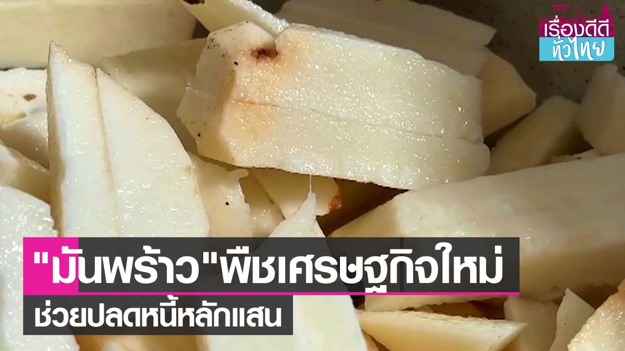 'มันพร้าว' พืชเศรษฐกิจใหม่ปลูกง่ายราคาดี I เรื่องดีดีทั่วไทย I 4-1-65